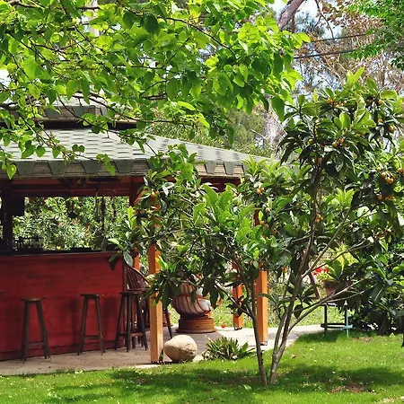 Guest house Hobbit Evi Cirali