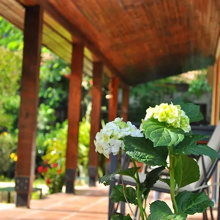 Hobbit Evi Guest house